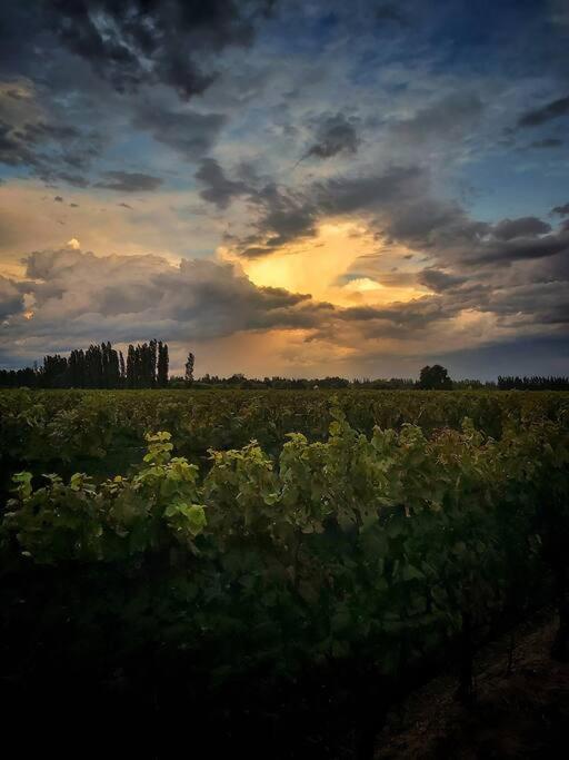 Bodega Durigutti Family Winemakers Villa Las Compuertas ภายนอก รูปภาพ